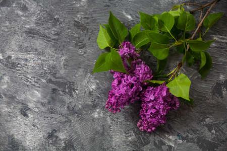 Texture background with bright flowers of lilac for the cover of the notebook diary or congratulations on the woman's holidayの写真素材