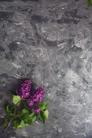 Texture background with bright flowers of lilac for the cover of the notebook diary or congratulations on the womans holidayの写真素材