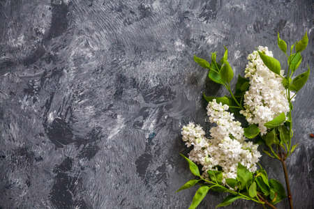 Texture background with bright flowers of lilac for the cover of the notebook diary or congratulations on the womans holidayの写真素材