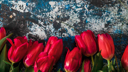 Beautiful vintage background of wildflowers. Delicate flowers close-up with a blurred background.