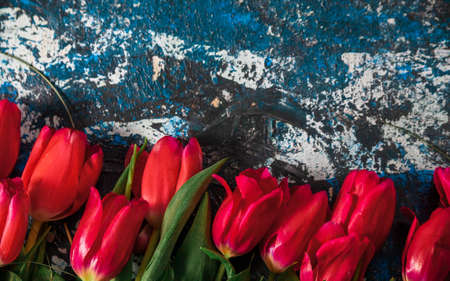 Beautiful vintage background of wildflowers. Delicate flowers close-up with a blurred background.の写真素材