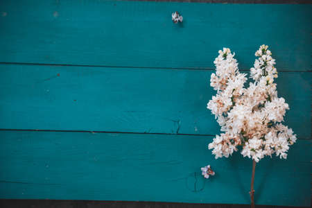 Background for greeting card greeting beloved woman wedding invitation flowers lilac on wooden surfaceの写真素材