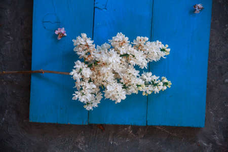 Background for greeting card greeting beloved woman wedding invitation flowers lilac on wooden surfaceの写真素材