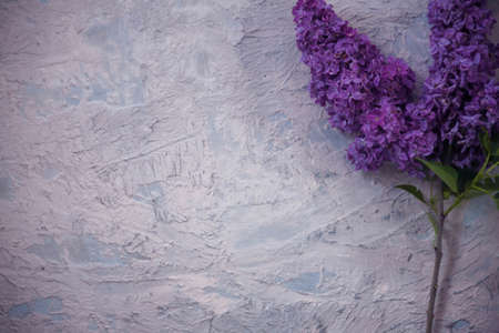 Texture background with bright flowers of lilac for the cover of the notebook diary or congratulations on the womans holidayの写真素材