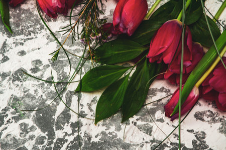 little kittens with beautiful eyes and soft hair are played at home with their beloved children. The tiny kitten is sleeping. Beautiful little kitty.の写真素材