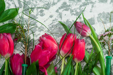 Row of red tulips on wooden background with space for message. Mother's Day background. Top viewの写真素材