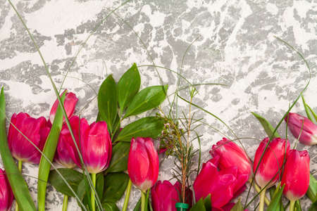 Row of red tulips on wooden background with space for message. Mother's Day background. Top viewの写真素材