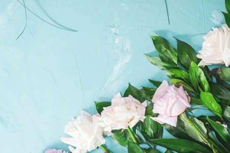 beautiful background with flowerso . Spring summer border template floral background. Light air delicate artistic image, free space.の写真素材