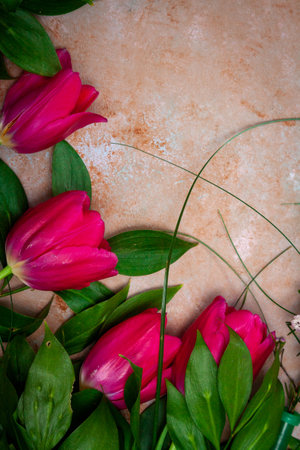 Row of red tulips on wooden background with space for message. Mothers Day background. Top viewの写真素材
