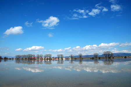 The trees in the water during flood season of the Czech landscapeの写真素材