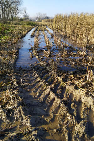 Dirt and ruts after the corn harvest in a waterlogged field after heavy rainsの写真素材