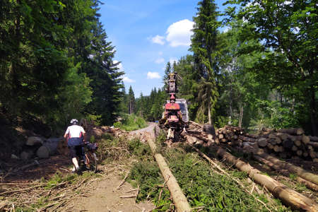 Logging companies as the modern lumberjacks restrict the passage on bike path of cyclists when...