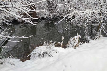 Snow and frost created this beauty in Litovel, Czech Republic during a cold winter day.の写真素材
