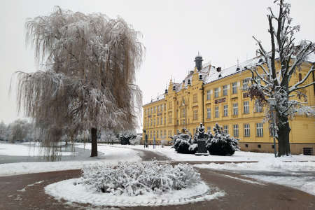 Snow and frost created this beauty in Litovel, Czech Republic during a cold winter day. In front of the grammar school building is a statue of TG Masaryk, the first Czech president.の写真素材