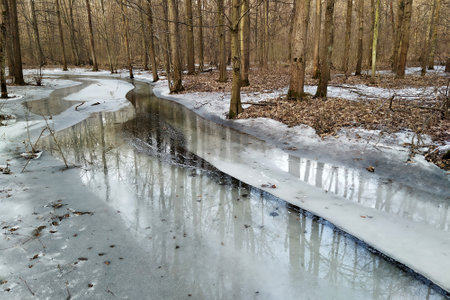 Spring has come. the last days of the winter landscape in the forest of the Litovelske pomoravi,...
