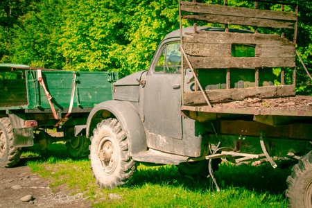 A classic vintage truck rests in a verdant area alongside a wooden trailer. Sunlight filters through the trees, highlighting the truck's weathered exterior and the surrounding nature.の写真素材