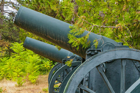 Close-up view of old cannons positioned in a park, with dark metal barrels contrasting against...