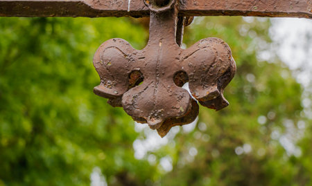 Detailed shot of a rustic wrought iron ornament shaped like a fleur-de-lis, showing weathered texture and patina, hanging outdoors with soft greenery in the background.の写真素材