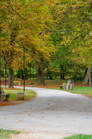 A peaceful park scene featuring a curved pathway lined with benches and street lamps, surrounded by autumn trees with golden and green foliage, ideal for walking and leisure.の写真素材