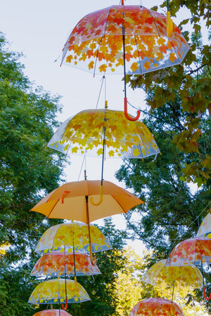 Vibrant installation of transparent and orange umbrellas adorned with yellow and red autumn leaves suspended among trees in a sunny park, symbolizing joy, creativity, and seasonal festivity.の写真素材
