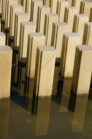 Series of rectangular stone pillars partially submerged in water, illuminated by morning sunlight. The reflections and repeating forms create a minimalist geometric composition with tranquil atmosphere.の写真素材