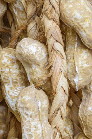Close-up of dried peanuts tied in a natural braid, showcasing earthy tones and rustic texture,...