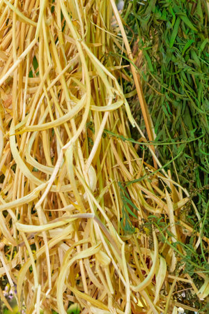 Close-up of dried yellow and green herbs hanging side by side, showing natural texture and color contrast. Perfect for illustrating traditional culinary ingredients and rustic kitchen decor.の写真素材