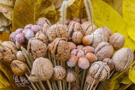 Decorative autumn composition featuring walnuts and hazelnuts attached to wooden sticks surrounded...