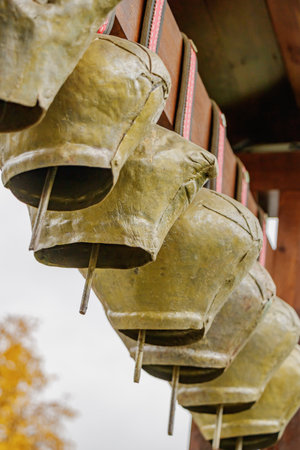 Close-up view of several vintage cowbells hanging on wooden beams. The aged metal texture, leather straps, and rustic background reflect rural craftsmanship and agricultural heritage.の写真素材