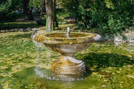 A tranquil fountain stands in a serene park, surrounded by vibrant green trees. Fallen leaves float on the water's surface, capturing the essence of autumn in this natural oasis.の写真素材