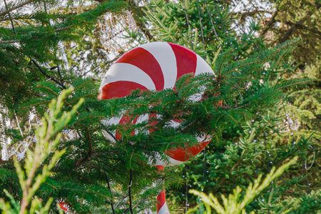 A large candy decoration stands hidden behind green trees in a holiday setup. The bright colors of the candy contrast with the natural green of the trees in the daytime.の写真素材