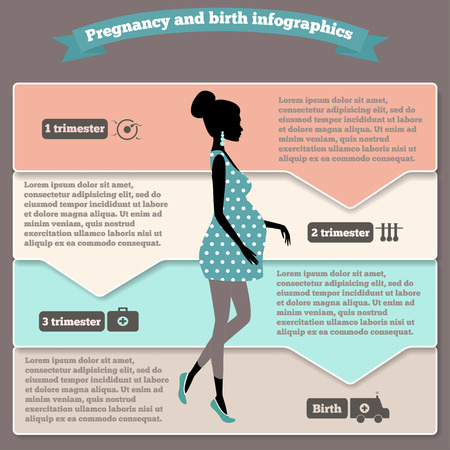 Pregnancy and birth infographics and pregnancy stages.のイラスト素材