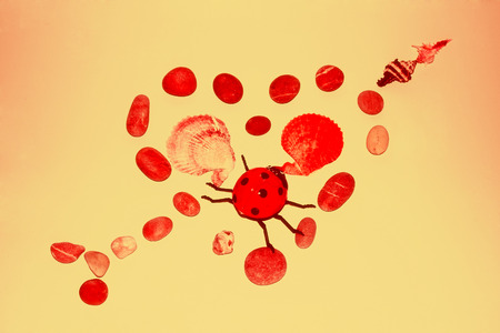 heart rocks with a love bug inの写真素材