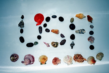 USA abbreviation of shells and rocksの写真素材
