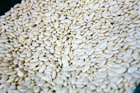 Bean is a common name for large plant seeds of several genera of the family Fabaceae