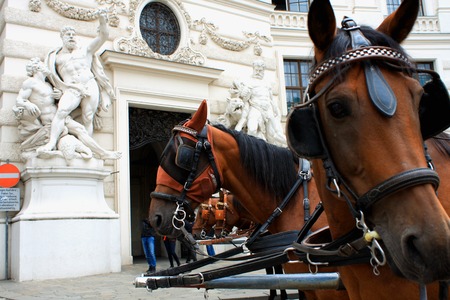 Horse-driven carriage at Hofburg palace, Vienna, Austriaのeditorial素材