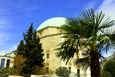 Tropical palm tree outside the mosqueの写真素材