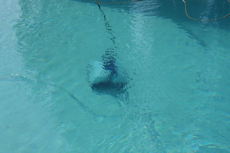 Robot working and cleaning inside swimming poolの写真素材