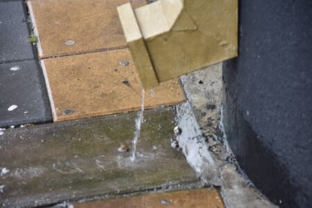 rain dropsの写真素材