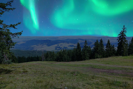 Aurora borealis, northern light in the Carpathian mountainsの写真素材