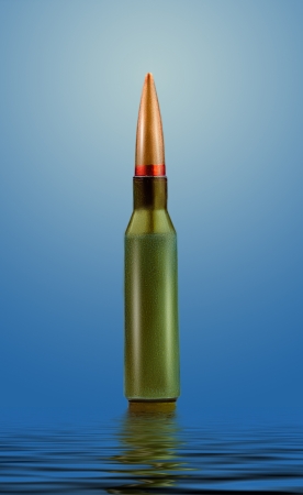 bullet in full growth