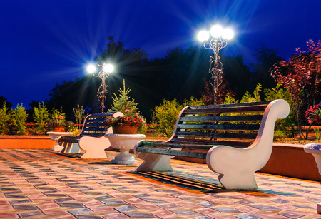 Night Park Wood Benches and Alley at summerの写真素材