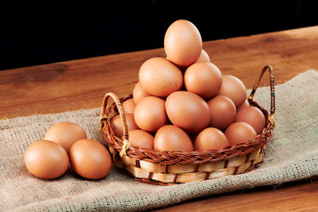 chicken egg shot close-up in the studio