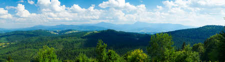forested mountains panoramic views with clouds and fog in the distance