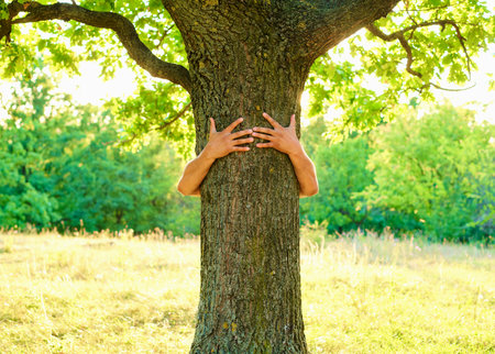 human hands hugging tree, care and protectionの写真素材