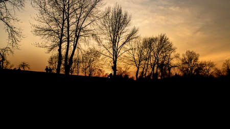 Sunset silhouettes of trees and people at shores of Jarun lake in Zagreb during beautiful, golden sunset, just days before lockdown because of corona virusの写真素材