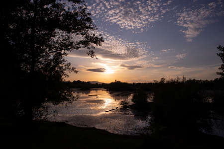Romantic sunset over lake, vegetation silhouette created against the dying sunの写真素材