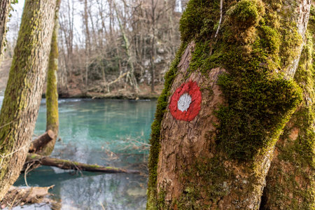 Red and white tree mark used as signalization of the path in the forest for people walking around Slunjcica river, Croatiaの写真素材