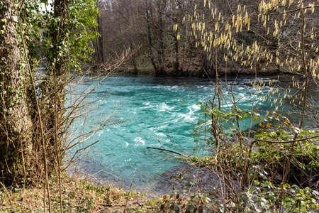 Wonderful blue and green colour of Slunjcica river, passing calm through the forest in mountain region of Croatiaの写真素材