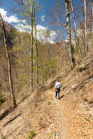 Woman hiker walking down the narrow, steep forest trail deep in the woods of Risnjak national park, Croatiaの写真素材